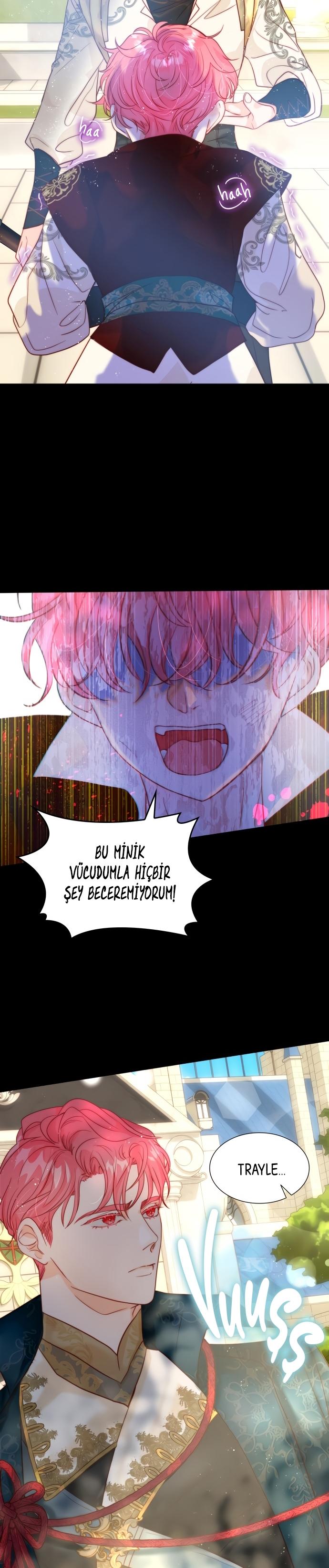 7-cmc1vvo430025phxcd4xhnki2