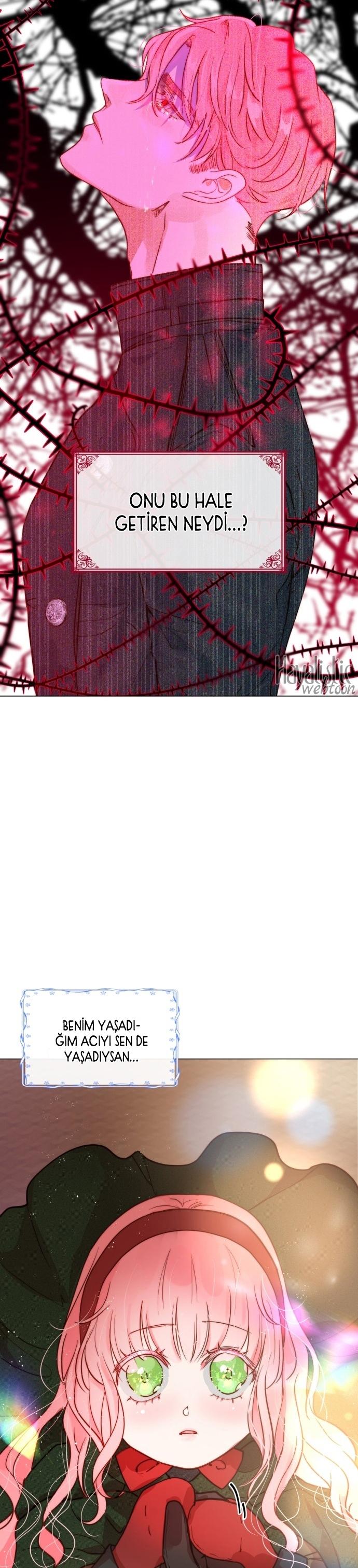 11-cmc1vvo430025phxcd4xhnki2