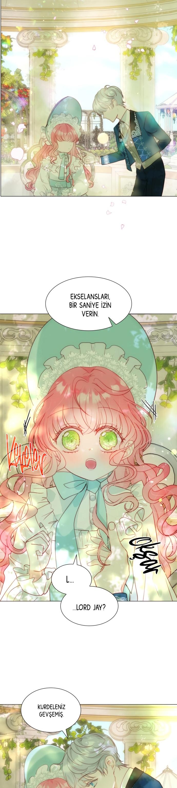 5-cmc1vvo430025phxcd4xhnki2