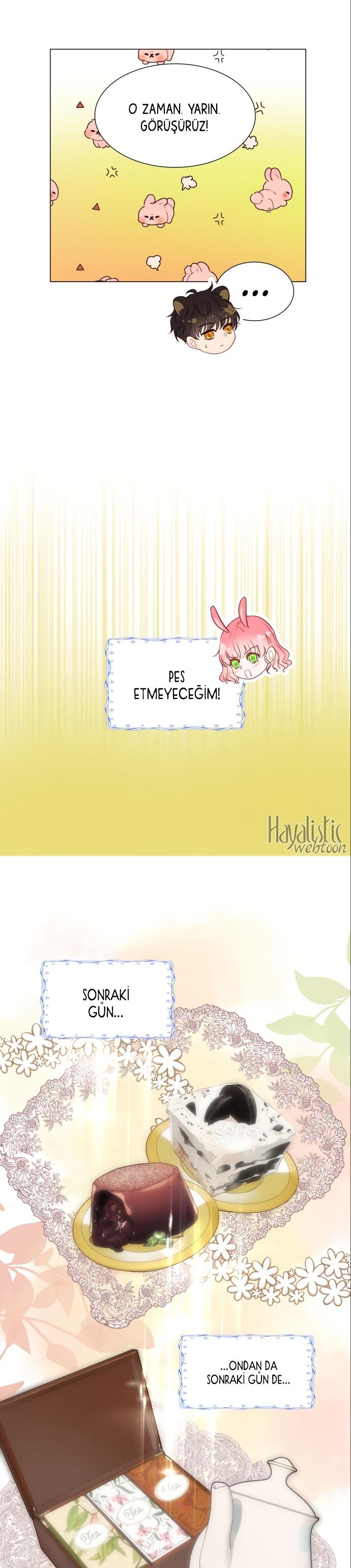 23-cmc1vvo430025phxcd4xhnki2