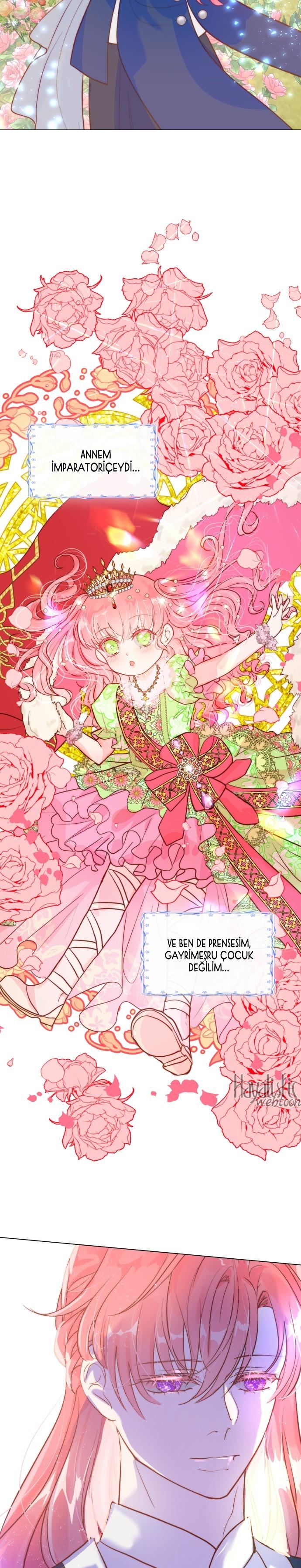 15-cmc1vvo430025phxcd4xhnki2