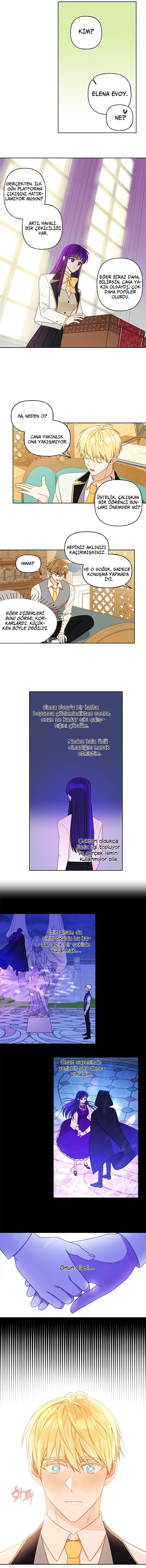 5-cmc1vvo430025phxcd4xhnki2