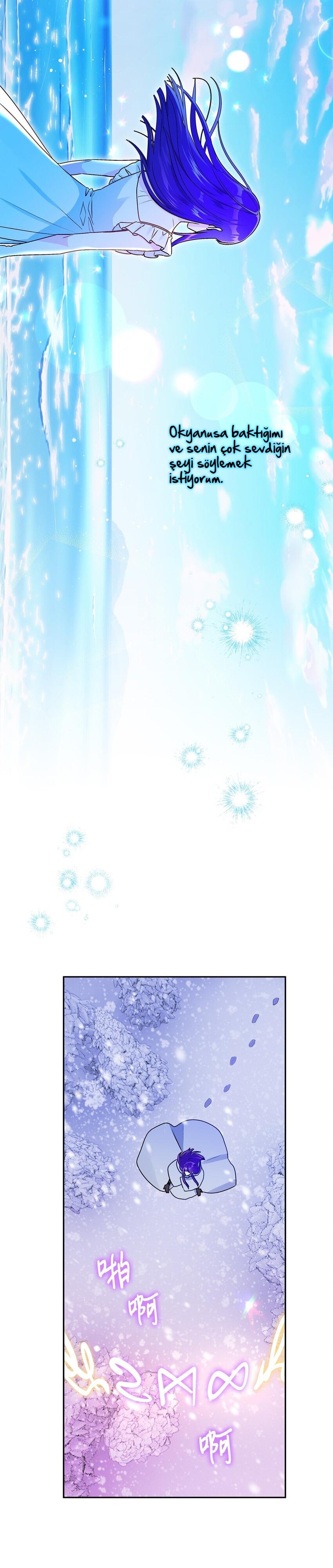 23-cmc1vvo430025phxcd4xhnki2
