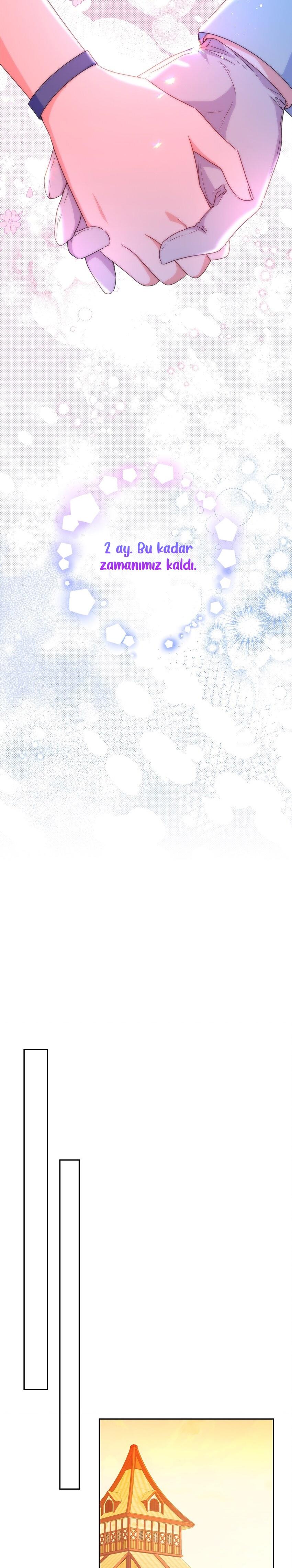 23-cmc1vvo430025phxcd4xhnki2