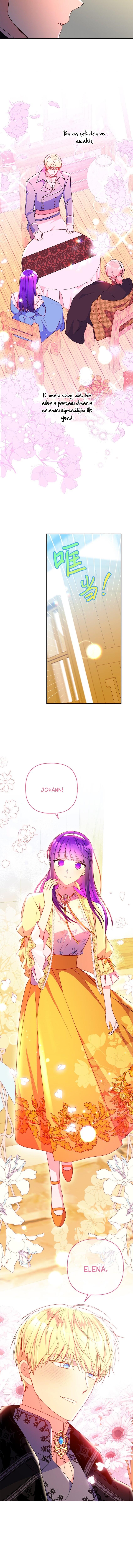 3-cmc1vvo430025phxcd4xhnki2