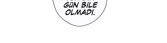 72-cmdkuckgg0106phoy4yaro87n