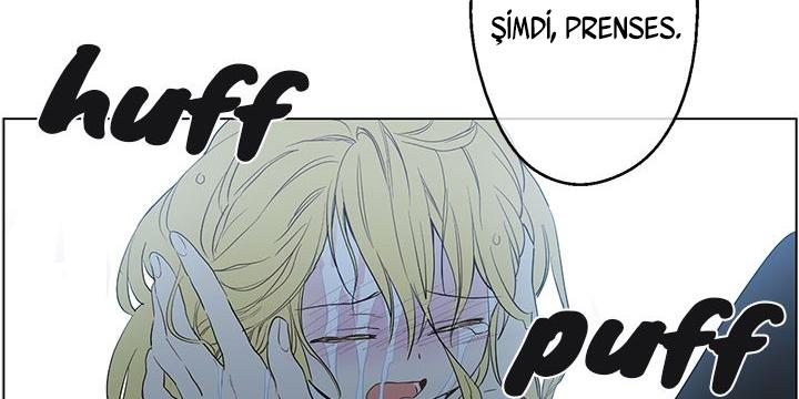 114-cmdkuckgg0106phoy4yaro87n