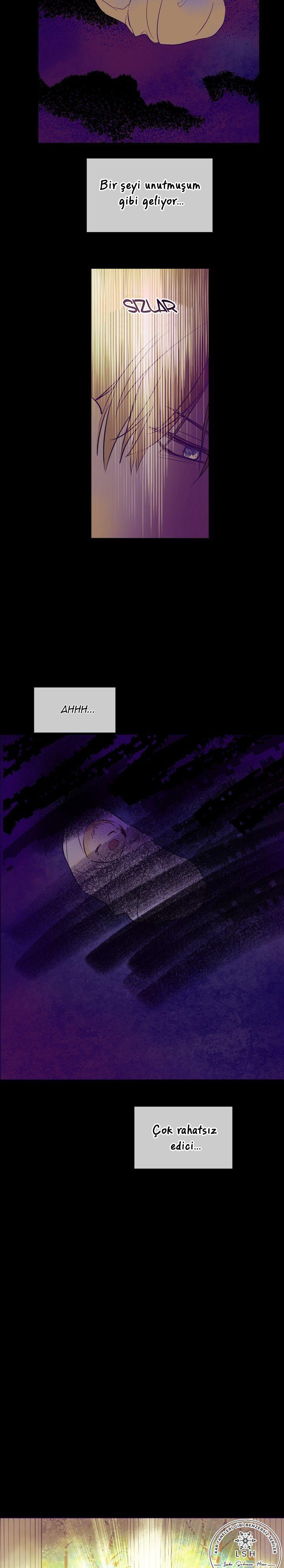 12-cmdkuckgg0106phoy4yaro87n