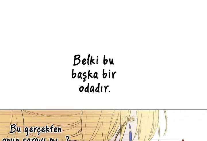 114-cmdkuckgg0106phoy4yaro87n