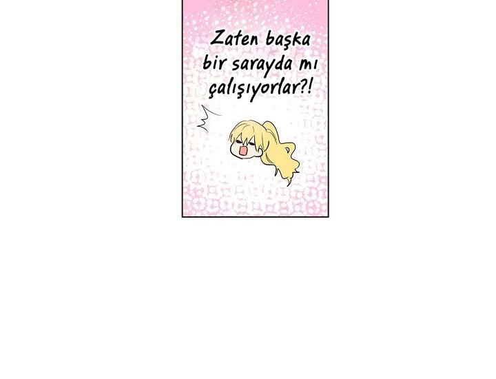 41-cmdkuckgg0106phoy4yaro87n