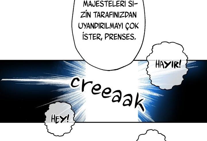 91-cmdkuckgg0106phoy4yaro87n