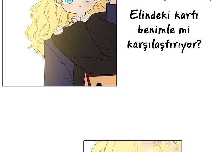 136-cmdkuckgg0106phoy4yaro87n