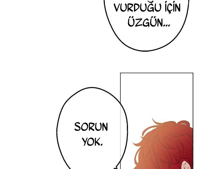 100-cmdkuckgg0106phoy4yaro87n