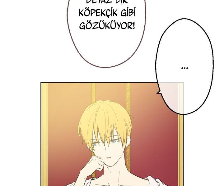 11-cmdkuckgg0106phoy4yaro87n
