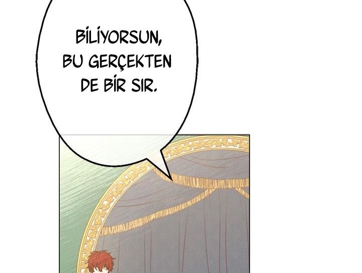 135-cmdkuckgg0106phoy4yaro87n