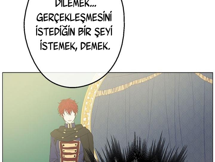 146-cmdkuckgg0106phoy4yaro87n