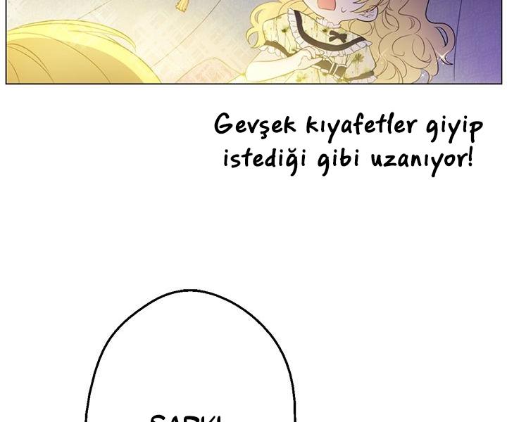 53-cmdkuckgg0106phoy4yaro87n