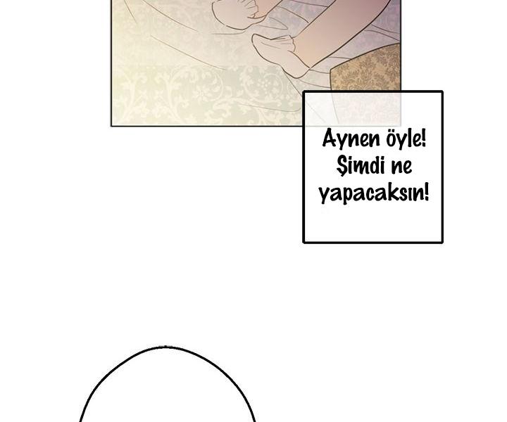 61-cmdkuckgg0106phoy4yaro87n
