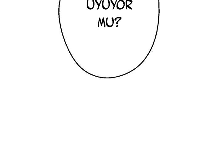 84-cmdkuckgg0106phoy4yaro87n