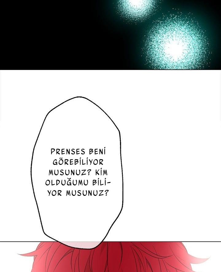 5-cmdkuckgg0106phoy4yaro87n
