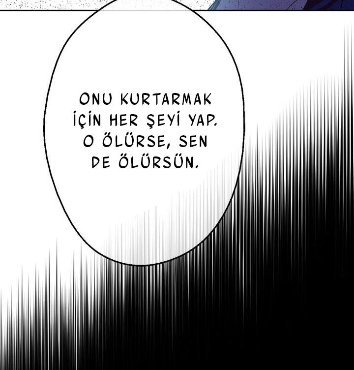 124-cmdkuckgg0106phoy4yaro87n