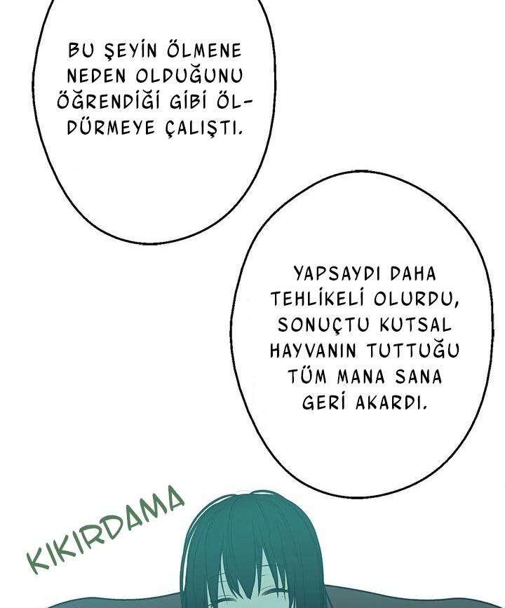26-cmdkuckgg0106phoy4yaro87n