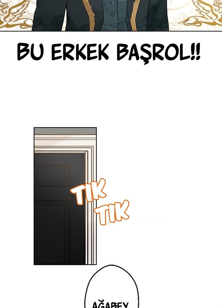 113-cmdkuckgg0106phoy4yaro87n
