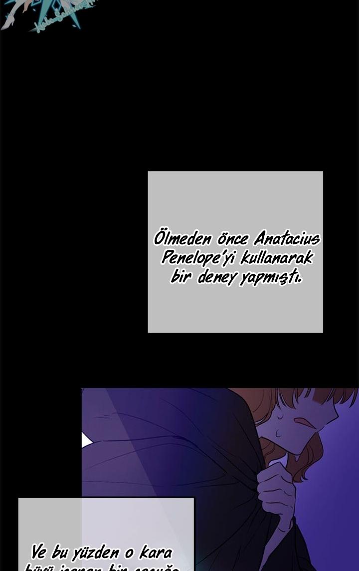 49-cmdkuckgg0106phoy4yaro87n