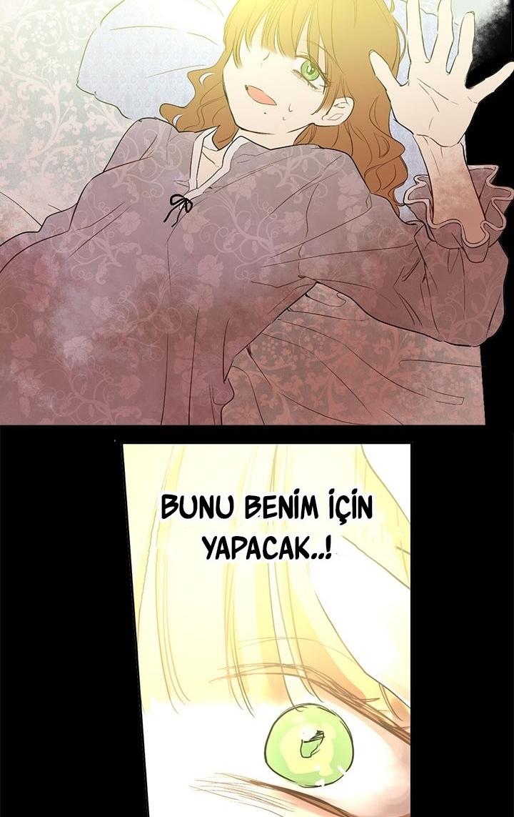 52-cmdkuckgg0106phoy4yaro87n