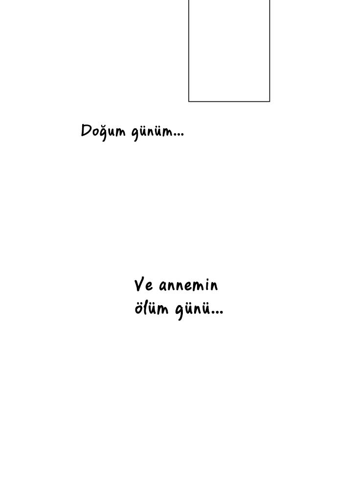 58-cmdkuckgg0106phoy4yaro87n