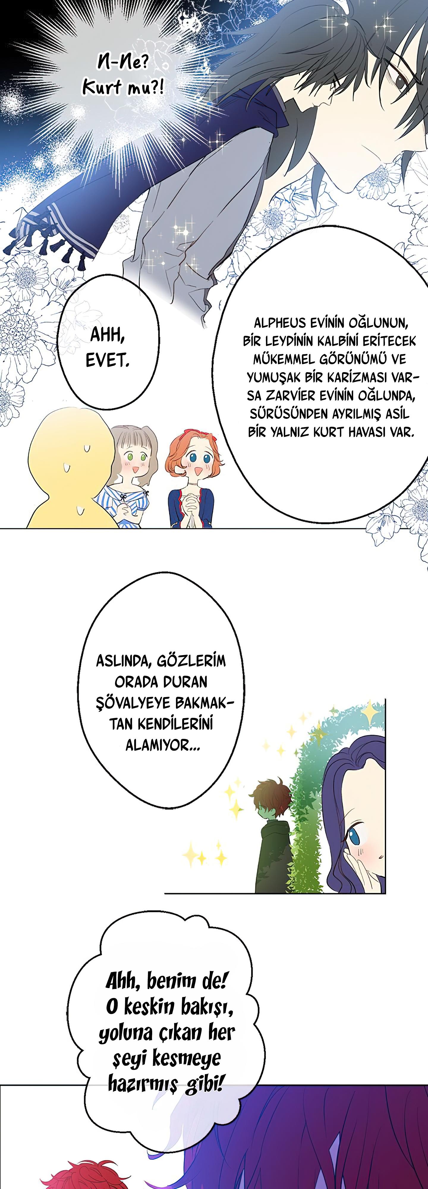 25-cmdkuckgg0106phoy4yaro87n