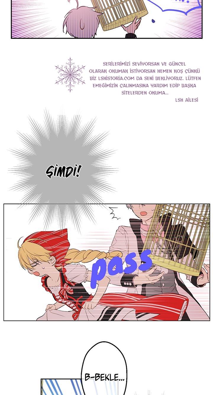 5-cmdkuckgg0106phoy4yaro87n