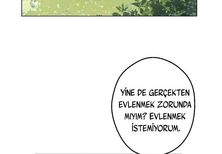 71-cmdkuckgg0106phoy4yaro87n