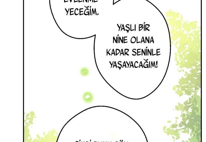 77-cmdkuckgg0106phoy4yaro87n