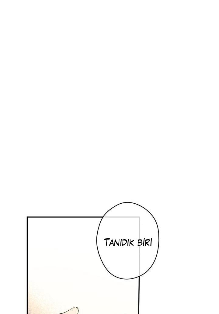 3-cmdkuckgg0106phoy4yaro87n