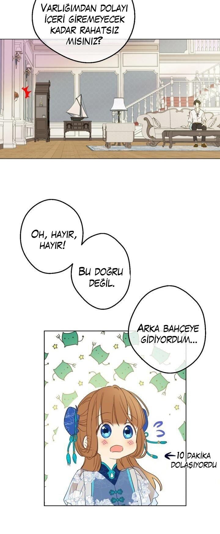 49-cmdkuckgg0106phoy4yaro87n
