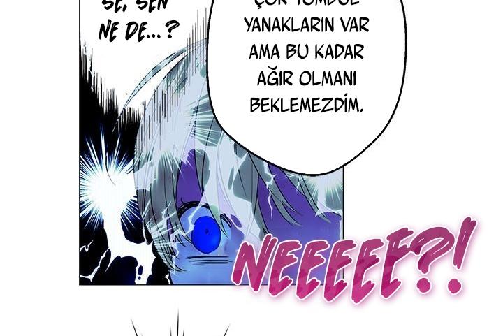 150-cmdkuckgg0106phoy4yaro87n