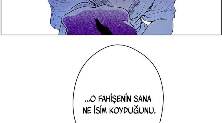 72-cmdkuckgg0106phoy4yaro87n