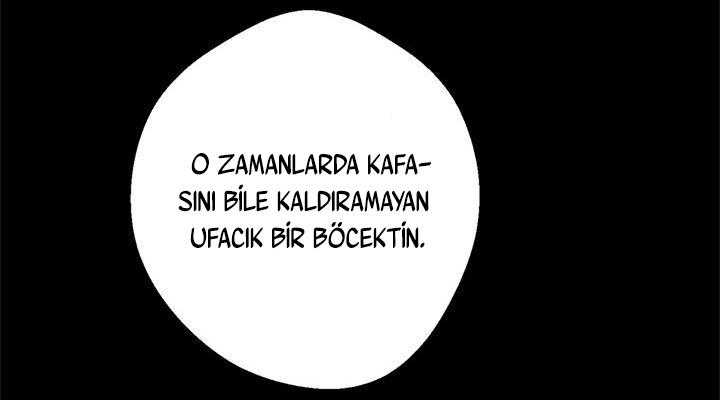 90-cmdkuckgg0106phoy4yaro87n