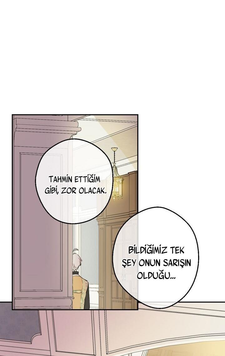 62-cmdkuckgg0106phoy4yaro87n