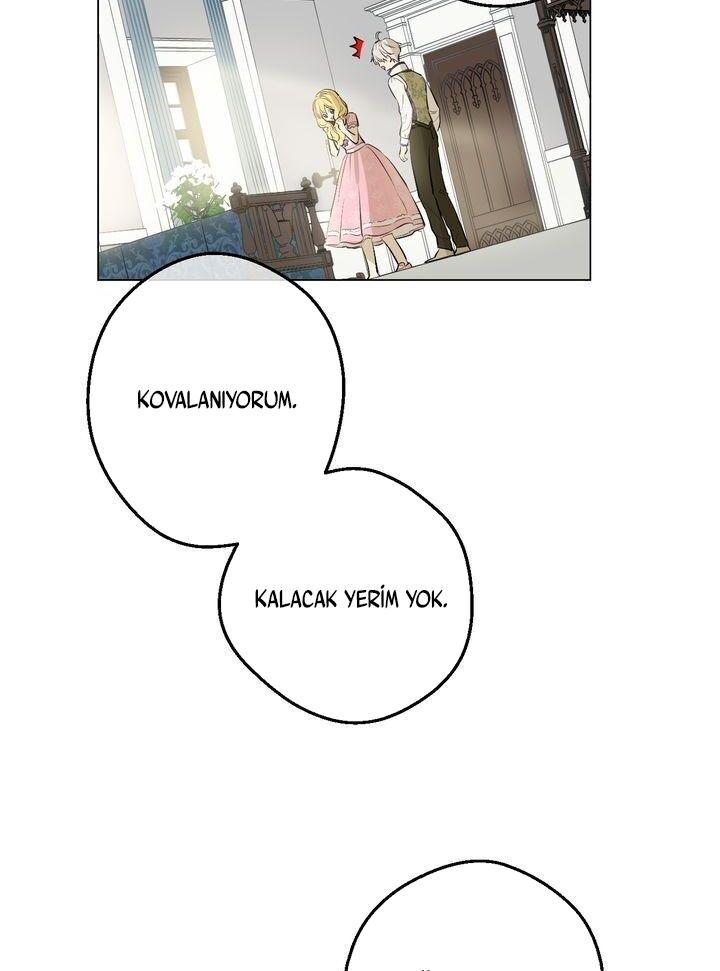 62-cmdkuckgg0106phoy4yaro87n