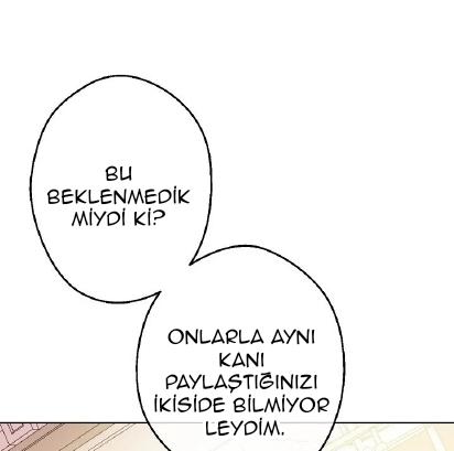 112-cmdkuckgg0106phoy4yaro87n