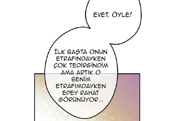 26-cmdkuckgg0106phoy4yaro87n
