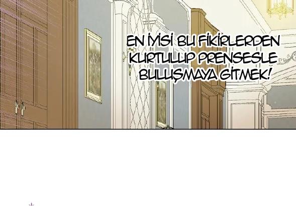 53-cmdkuckgg0106phoy4yaro87n