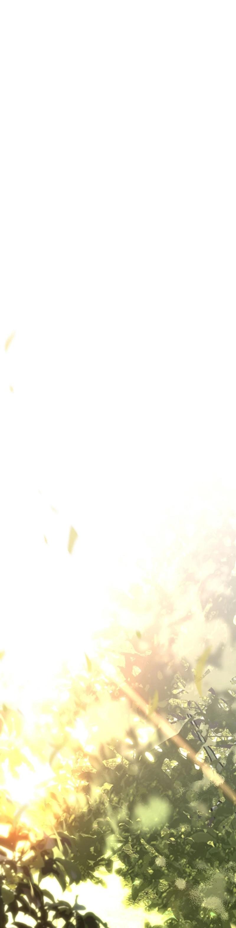 27-cm2xdfr0s0001tt82570od8ls