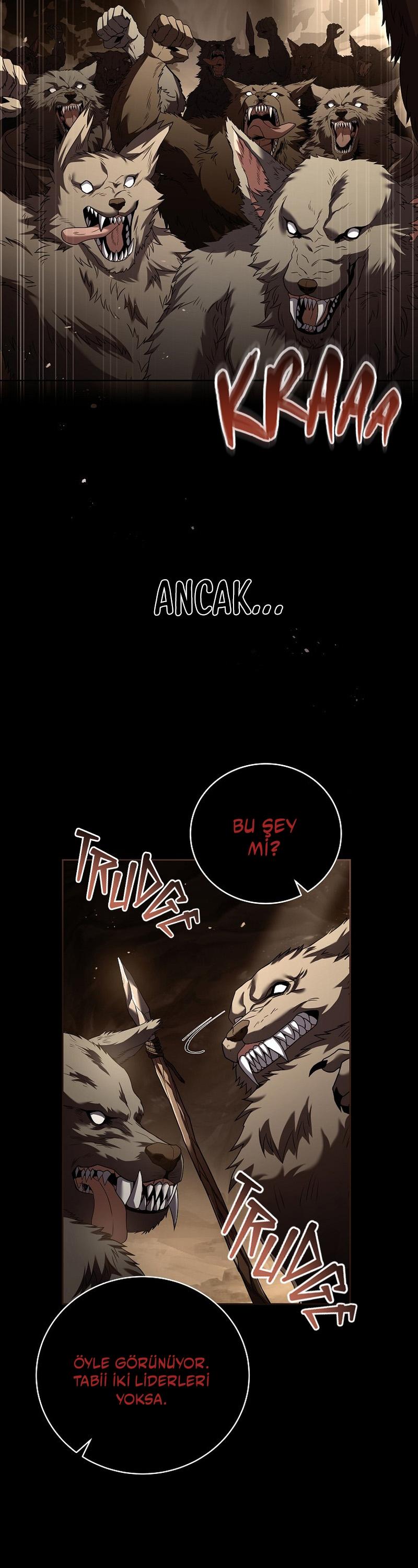 4-cm2xdfr0s0001tt82570od8ls