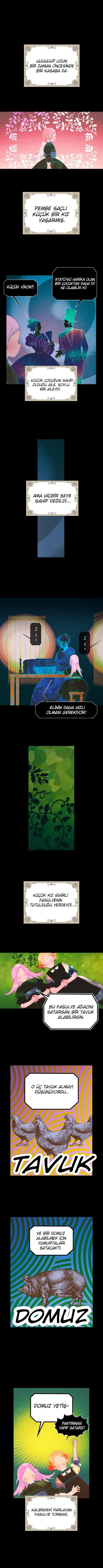 1-cmc1vvo430025phxcd4xhnki2