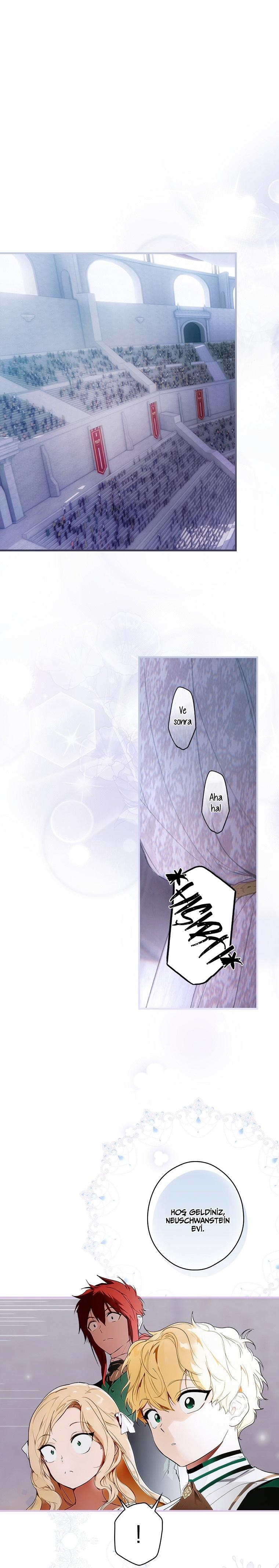 5-cmc1vvo430025phxcd4xhnki2