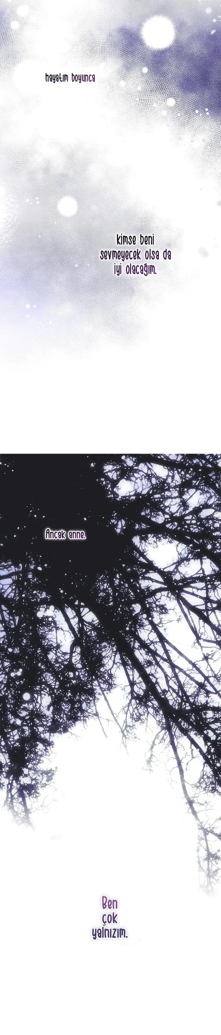 13-cmc1vvo430025phxcd4xhnki2