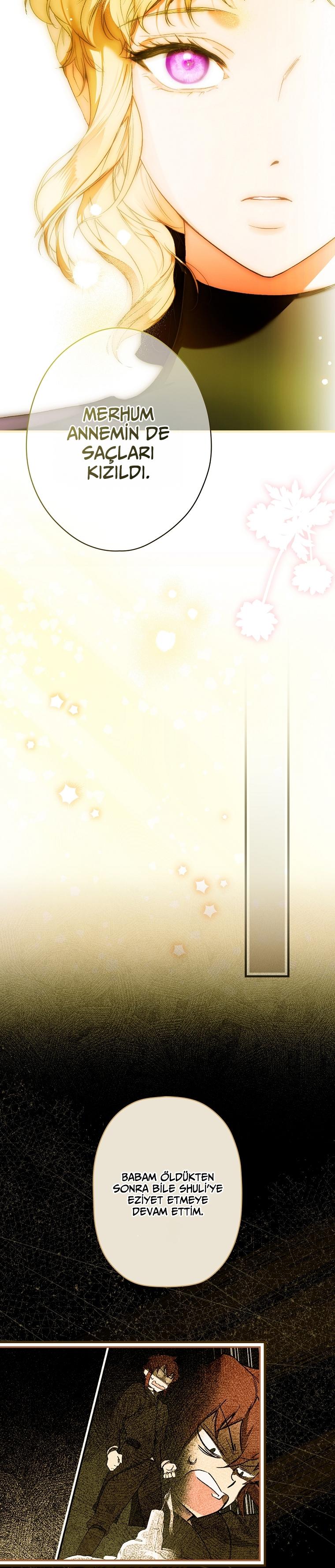 7-cmc1vvo430025phxcd4xhnki2